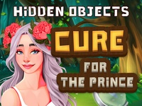 Hidden Objects for the Prince